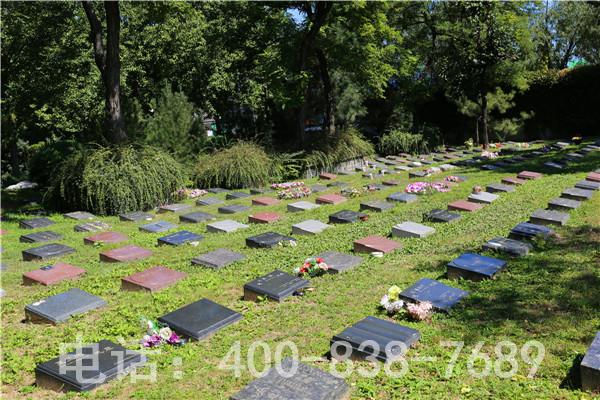 思亲园和天寿园树葬墓地在北京吗？